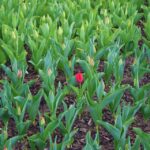 10 Steps to Launching Your Career as a Commercial Real Estate Broker