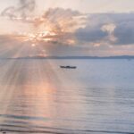 Navigating Market Trends: How to Tailor Your CRE Portfolio Strategy