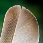 The Dos and Don’ts of Zoning and Permitting: Expert Advice